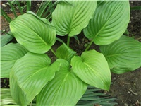 6fb4ab8e-Picture 014.jpg